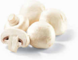 Champignon weiss im aktuellen Netto Marken-Discount Prospekt