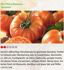 Fleischtomate 'Ananas' bei BAUHAUS in Fürth Fleischtomate 'Ananas' im Angebot bei BAUHAUS Fürth für 1,79 €