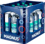 Wittenseer Mineralwasser Angebote bei E center Elmshorn für 4,49 €