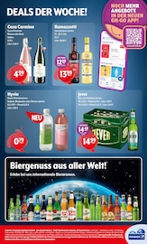 Ramazzotti im Getränke Hoffmann Prospekt in Pinneberg Aktueller Getränke Hoffmann Prospekt mit Ramazzotti, "Aktuelle Angebote", Seite 8