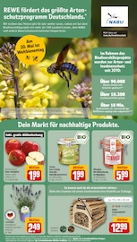 Deko im REWE Prospekt in Siegburg Aktueller REWE Prospekt mit Deko, "Dein Markt", Seite 26
