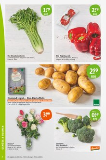 Blumenstrauß im tegut Prospekt "tegut… gute Lebensmittel" mit 24 Seiten (München)