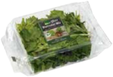 Marktkauf Levetzow - Feldsalat Angebot im Prospekt Feldsalat bei Marktkauf im Levetzow Prospekt für 1,29 €