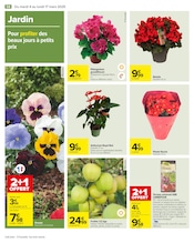 Promos Terreau Plantation dans le catalogue "Carrefour" de Carrefour à la page 58