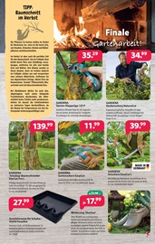 Aktueller Kiebitzmarkt Prospekt mit Gartengeräte, "WarmUp-Deals", Seite 3