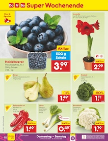 Paprika im Netto Marken-Discount Prospekt "Aktuelle Angebote" mit 60 Seiten (Paderborn)