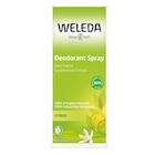 Déodorants - WELEDA - Carrefour à Créteil Déodorants - WELEDA en promo chez Carrefour Créteil