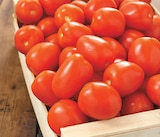 Intermarché Super Mehun-sur-Yèvre - Promo Tomate Allongée Promo Tomate Allongée à 1,99 € dans le catalogue Intermarché Super à Mehun-sur-Yèvre