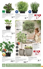 Bio Lebensmittel im Dehner Garten-Center Prospekt in Münster Aktueller Dehner Garten-Center Prospekt mit Bio Lebensmittel, "GRÜNE OASE", Seite 7