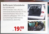 Kofferraum-Schutzdecke für SUV/Kombi bei bauSpezi im Freystadt Prospekt für 19,99 €