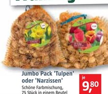 BAUHAUS Bexbach - Jumbo Pack 'Tulpen' oder 'Narzissen' Jumbo Pack 'Tulpen' oder 'Narzissen' Angebot bei BAUHAUS Bexbach im Prospekt "Handzettel KW 36"