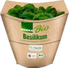 Kräutertopf im Angebot bei EDEKA in Cuxhaven Kräutertopf Angebote von EDEKA Bio bei EDEKA Cuxhaven für 1,49 €