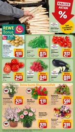 Ähnliche Stiefmütterchen Angebote im Prospekt "Dein Markt" von REWE in Essen Ähnliche Angebote wie Stiefmütterchen im Prospekt "Dein Markt" auf Seite 7 von REWE in Essen