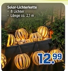 Solar-Lichterkette im aktuellen Rossmann Prospekt für 12,99 €