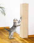 Katzenkratzbrett Angebot in Oranienburg Katzenkratzbrett im aktuellen Prospekt bei NETTO mit dem Scottie in Oranienburg