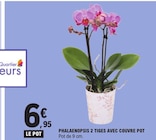 Phalaenopsis 2 tiges avec couvre pot en promo chez E.Leclerc Saint-Nazaire à 6,95 €