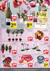 Erdbeeren im E center Prospekt in Hof Aktueller E center Prospekt mit Erdbeeren, "Wir lieben Lebensmittel!", Seite 6