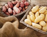 Pomme de terre de consommation à chair ferme - INTERMARCHÉ TERROIRS en promo chez Intermarché Express Champigny-sur-Marne à 2,29 €