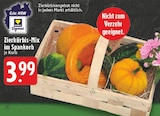Zierkürbis-Mix Angebote bei EDEKA Paderborn für 3,99 €