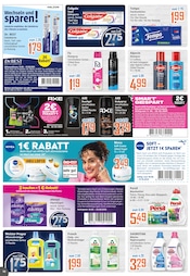Aktueller K+K - Klaas & Kock Prospekt mit Persil, "Wenn Lebensmittel, dann K+K", Seite 10