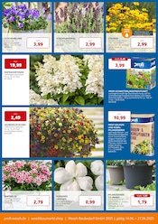 Blumentopf im PROFI Wesch Prospekt in Mühlhausen Aktueller PROFI Wesch Prospekt mit Blumentopf, "KOMPETENT. PERSÖNLICH. REGIONAL.", Seite 3