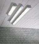 LED-Feuchtraumleuchten Angebote von toom bei toom Baumarkt Mönchengladbach für 9,99 €