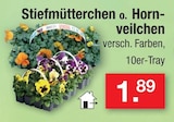 Stiefmütterchen im Angebot bei Zimmermann in Lingen Stiefmütterchen Angebote bei Zimmermann Lingen für 1,89 €