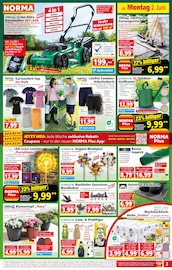 Gartengeräte im Norma Prospekt in Ansbach Aktueller Norma Prospekt mit Gartengeräte, "Mehr fürs Geld", Seite 3