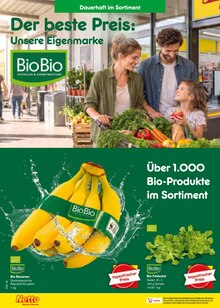Bananen im Netto Marken-Discount Prospekt "Aktuelle Angebote" mit 70 Seiten (Salzgitter)