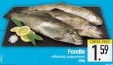 Forelle im EDEKA Prospekt Forelle von im aktuellen EDEKA Prospekt für 1,59 €