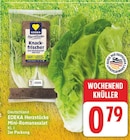Herzstücke Mini-Romanasalat von EDEKA im aktuellen E center Prospekt