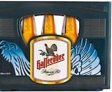 Premium Pils von Hasseröder für 18,00 € bei Netto mit dem Scottie im Angebot Premium Pils von Hasseröder im aktuellen Netto mit dem Scottie Prospekt