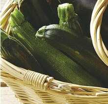 Casino Supermarchés Brest - Courgette Promo Courgette dans le catalogue Casino Supermarchés "6 semaines de fête et de promos !" à Brest