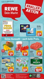 REWE Prospekt für Schmelz mit 25 Seiten REWE Prospekt für Schmelz: Dein Markt, 25 Seiten, 23.01.2023 - 28.01.2023