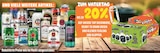 EDEKA Mittenwalde - bis zu 20% Angebot im Prospekt bis zu 20% bei EDEKA im Mittenwalde Prospekt für