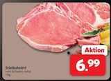 Stielkotelett bei Markant Nordwest im Herford Prospekt für 6,99 €