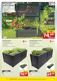 Netto Marken-Discount Pflanztopf im Prospekt 