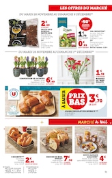 Offre Fleurs d'extérieur dans le catalogue Super U du moment à la page 31