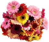 Gerbera im Angebot bei REWE in Herne Gerbera Angebote bei REWE Herne für 3,33 €