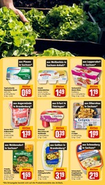 Quark im REWE Prospekt in Halle Aktueller REWE Prospekt mit Quark, "Dein Markt", Seite 25