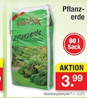 Aktuelles Pflanzerde Angebot bei Zimmermann in Hannover ab 3,99 €