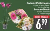 Orchidee Phalaenopsis im EDEKA Prospekt Orchidee Phalaenopsis von im aktuellen EDEKA Prospekt für 6,99 €
