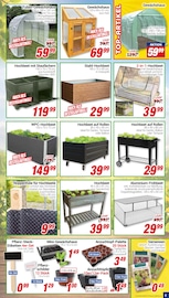 Saatgut im CENTERSHOP Prospekt in Lippstadt Aktueller CENTERSHOP Prospekt mit Saatgut, "Da geht was.", Seite 3