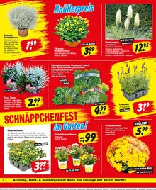 Repo Prospekt der KW 31 "Aktuelle Angebote" Aktueller Repo Prospekt "Aktuelle Angebote" Seite 2 von 16 Seiten