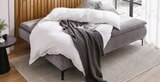Boxspring-Schlafsofa im Angebot bei XXXLutz in Salzgitter Boxspring-Schlafsofa Angebote von novel bei XXXLutz Salzgitter für 699,00 €
