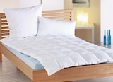 Aktuelle Kopfkissen Angebote bei Möbel Martin in Saarbrücken Aktuelles Kopfkissen Angebot bei Möbel Martin in Saarbrücken ab 24,99 €