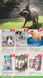 Aktueller Raiffeisenmarkt Prospekt mit Hundefutter, "Wir leben Nähe", Seite 3