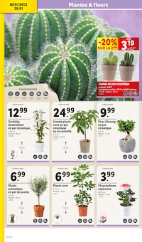 Promo Pot En Céramique dans le catalogue Lidl du moment à la page 32