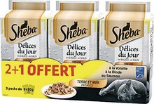 Géant Casino Massy - Délices du jour pour chat au poisson Promo Délices du jour pour chat au poisson dans le catalogue Géant Casino "Les 100 jours Casino" à Massy
