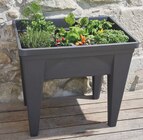 Centrakor Osny - Promo LA JARDINIÈRE POTAGER 85 L Promo LA JARDINIÈRE POTAGER 85 L à 29,99 € dans le catalogue Centrakor à Osny